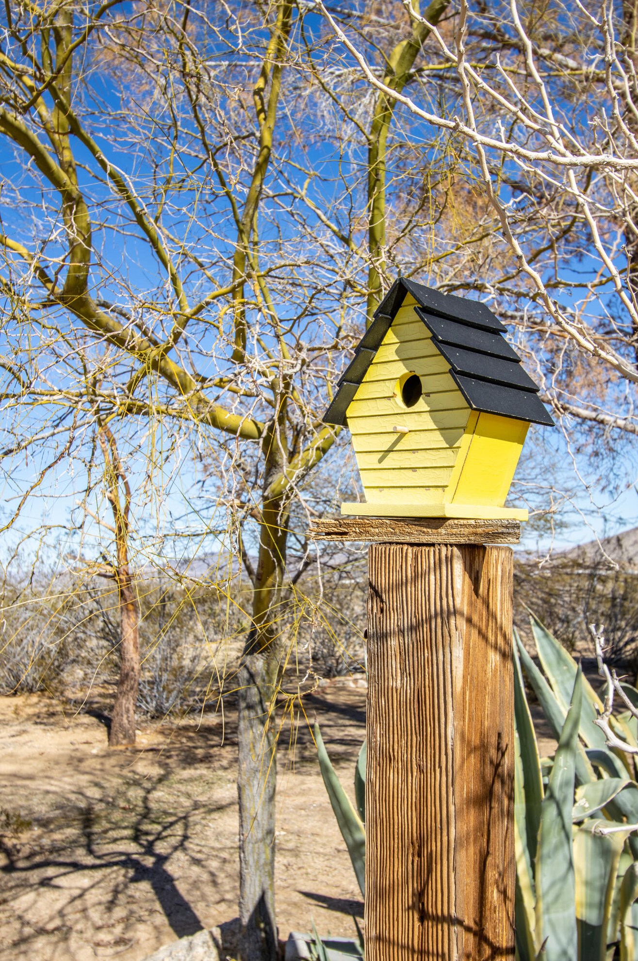 1959 Yetters Ln, Yucca Valley CA  exterior