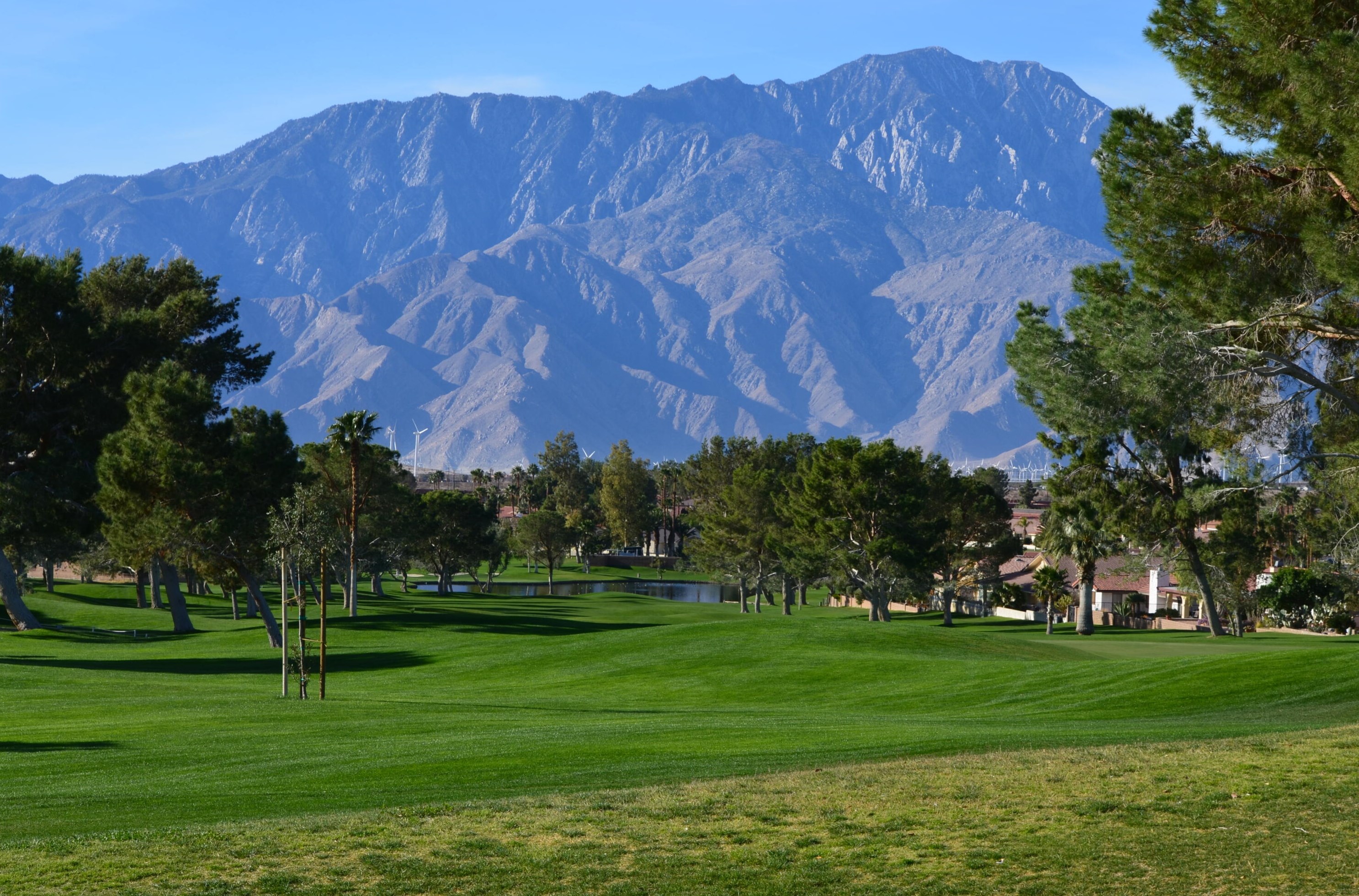 8581 Annandale Ave, Desert Hot Springs CA  92240-1412 exterior