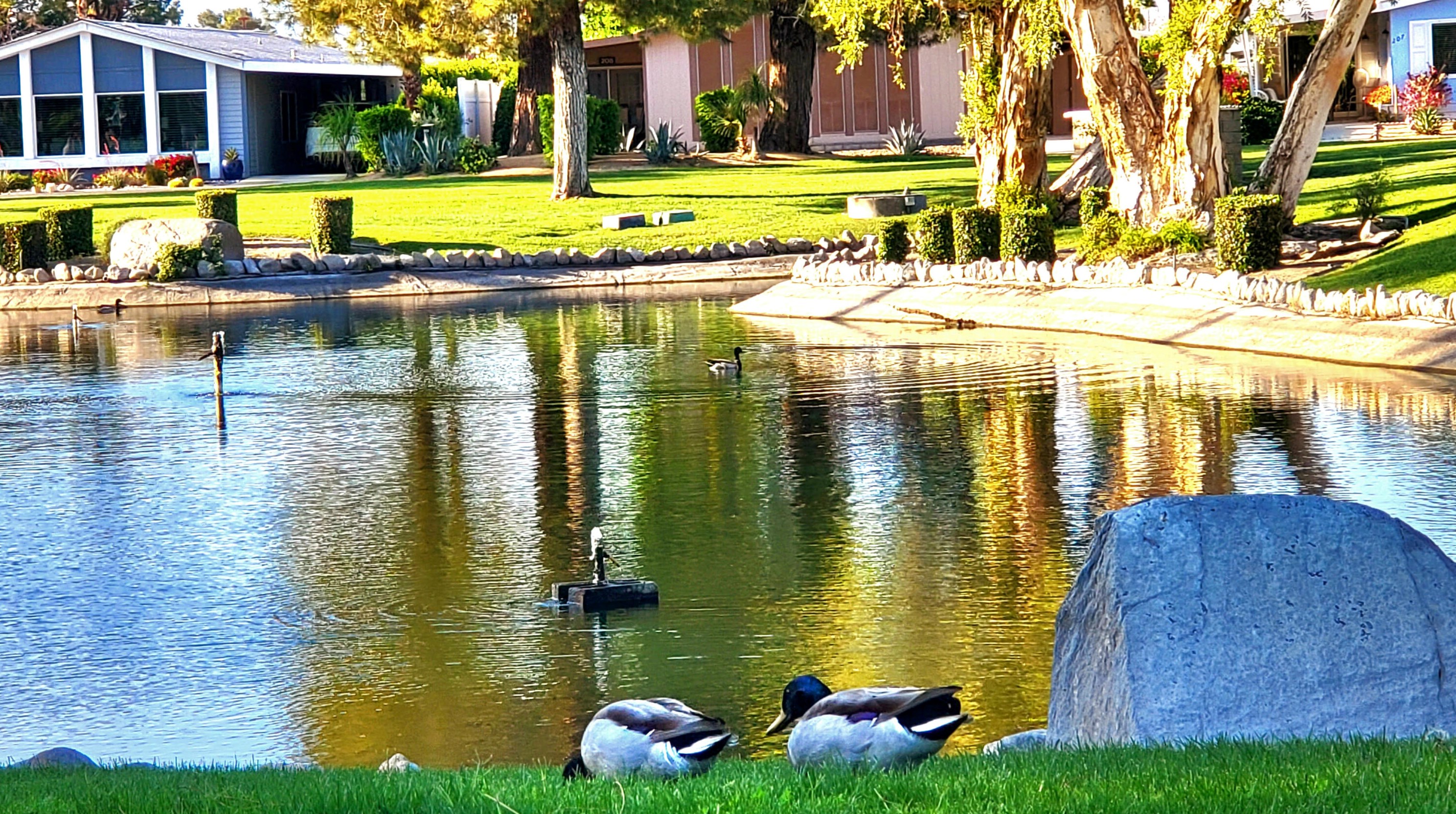 82 Zacharia Dr, Cathedral City CA  92234-6648 exterior