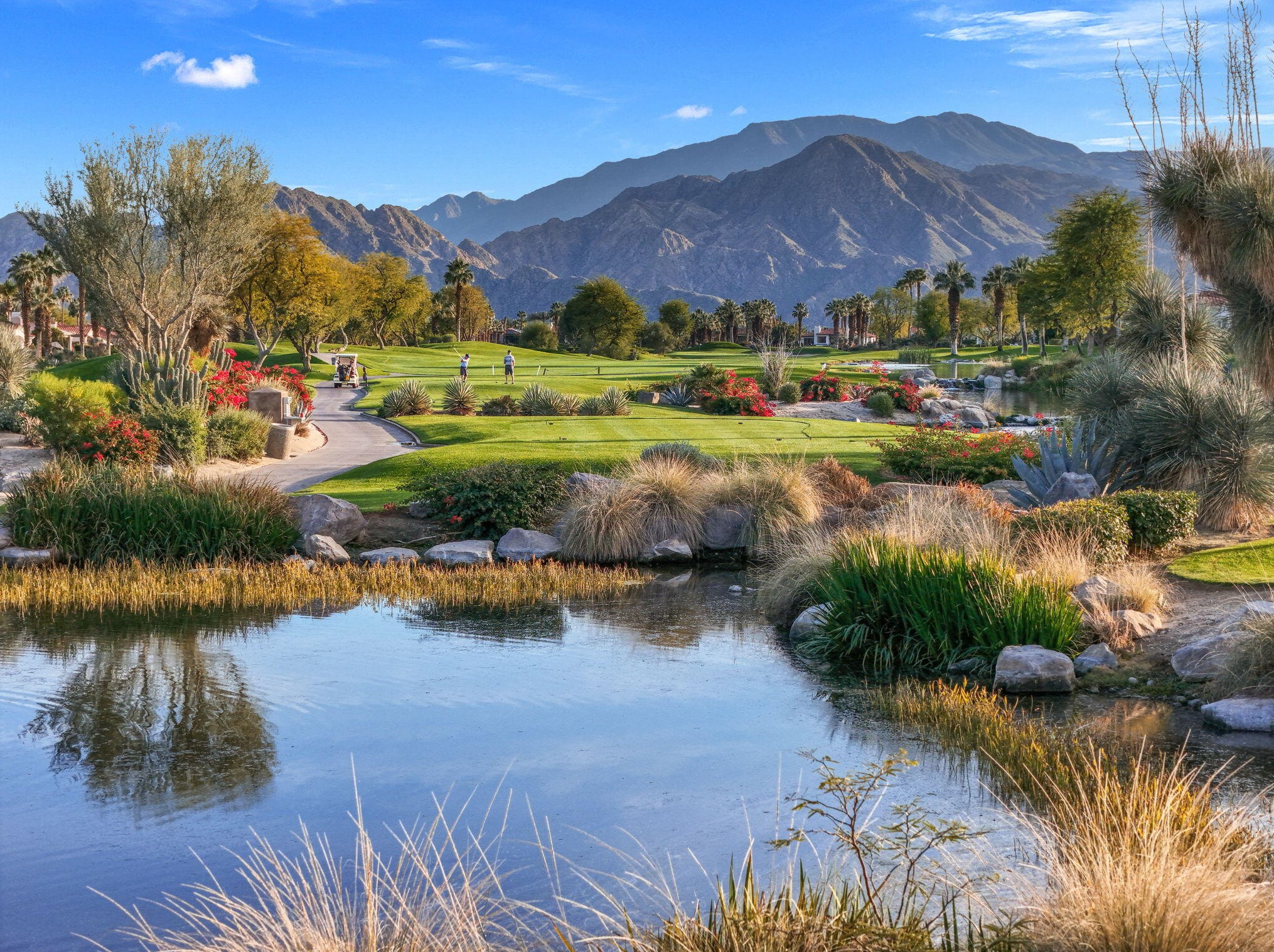 161 Tomahawk Dr, Palm Desert CA  92211-8949 exterior