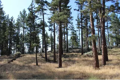 030 Butterfly Peak Road, Mountain Center, CA 92561 - Photo 5