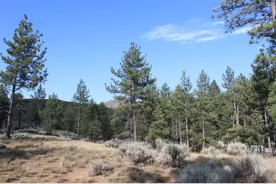 030 Butterfly Peak Road, Mountain Center, CA 92561 - Photo 17