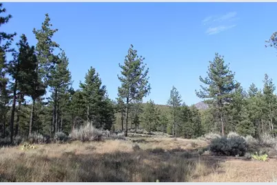 030 Butterfly Peak Road, Mountain Center, CA 92561 - Photo 9