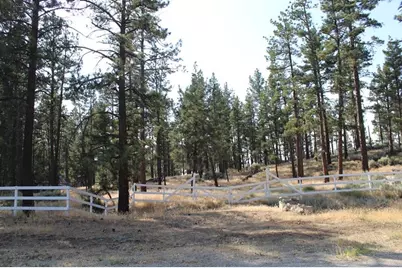 030 Butterfly Peak Road, Mountain Center, CA 92561 - Photo 3