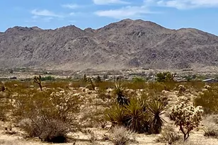 117 Border Rd, Joshua Tree, CA 92252 - Photo 1