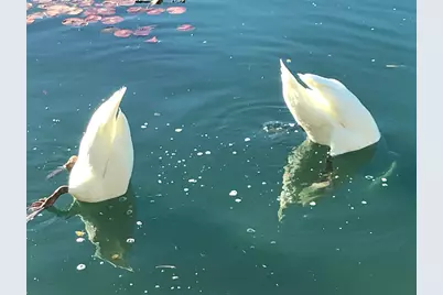 37 Shoreline Drive, Rancho Mirage, CA 92270 - Photo 59