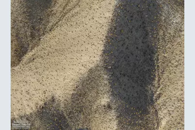 0 Cholla Way & Cat Creek Rd, Palm Desert, CA 92260 - Photo 15