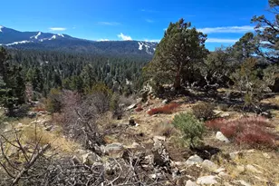 42530 Pegasus Way, Big Bear Lake, CA 92315 - Photo 3