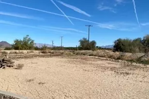 24101 Rice Rd, Desert Center, CA 92239 - Photo 9