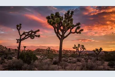 Na Joshua Tree Hwy 62, Joshua Tree, CA 92252 - Photo 1