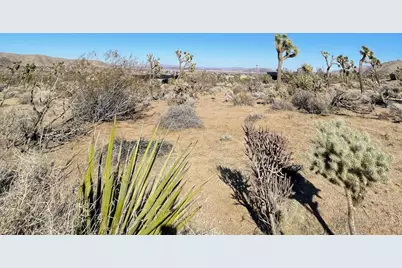0 Saddleback Road, Joshua Tree, CA 92252 - Photo 3
