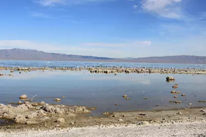 2467 Sea Gull Avenue, Thermal, CA 92274 - Photo 3