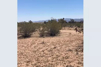 60726 Trentwood Drive, Joshua Tree, CA 92252 - Photo 11