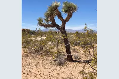 60726 Trentwood Drive, Joshua Tree, CA 92252 - Photo 7