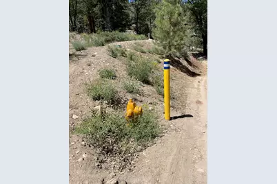 1286 Fawnskin Drive, Fawnskin, CA 92333 - Photo 11