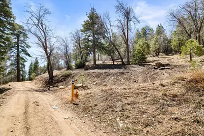 1286 Fawnskin Drive, Fawnskin, CA 92333 - Photo 3