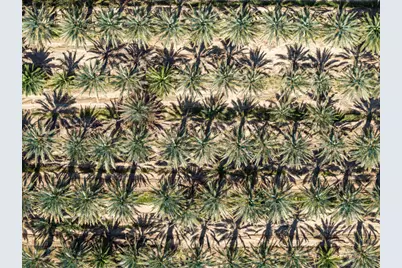 5296 Buck Road, Westmorland, CA 92281 - Photo 11