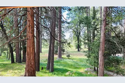 53341 Sherman Drive, Idyllwild, CA 92549 - Photo 21