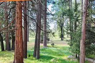 53341 Sherman Dr, Idyllwild, CA 92549 - Photo 21