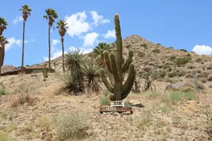 10300 Pine Ave, Morongo Valley, CA 92256 - Photo 15