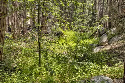 55170 Daryll Road, Idyllwild, CA 92549 - Photo 59