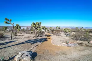 59800 Onaga Trail, Joshua Tree, CA 92252 - Photo 67