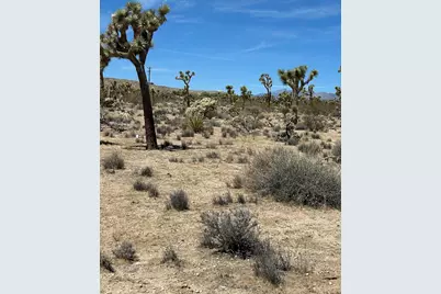 0 Sun Oro Road, Yucca Valley, CA 92284 - Photo 7