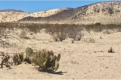 5125 Lear Avenue, 29 Palms, CA 92277 - Photo 5