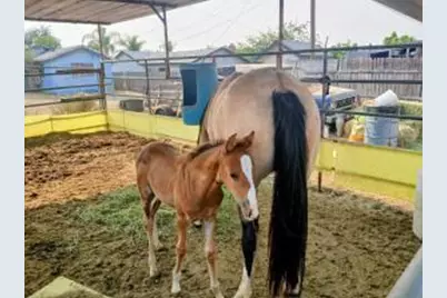 4052 Lindsay Street, Jurupa Valley, CA 92509 - Photo 1