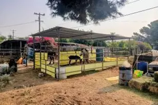 4052 Lindsay St, Jurupa Valley, CA 92509 - Photo 9