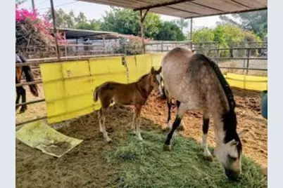 4052 Lindsay Street, Jurupa Valley, CA 92509 - Photo 13