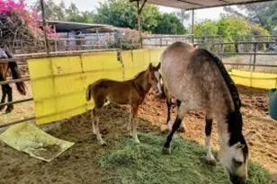 4052 Lindsay St, Jurupa Valley, CA 92509 - Photo 13