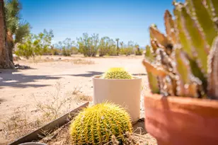 60010 Darlinda Dr, Yucca Valley, CA 92284 - Photo 63