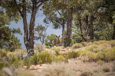 550 Eagle Ridge, Big Bear City, CA 92314 - Photo 9