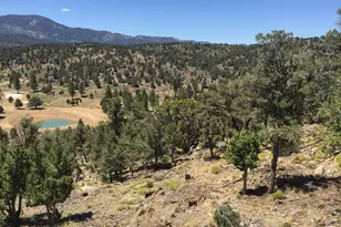 550 Eagle Ridge, Big Bear City, CA 92314 - Photo 33