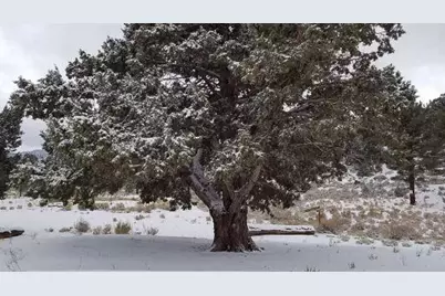 550 Eagle Ridge, Big Bear City, CA 92314 - Photo 19