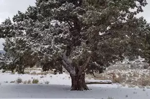 550 Eagle Ridge, Big Bear City, CA 92314 - Photo 19