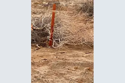 2459 Shore Gem Avenue, Thermal, CA 92274 - Photo 15