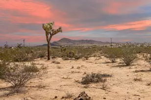 401 Stonehill Ave, Joshua Tree, CA 92252 - Photo 1