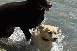 83333 N Shore Dr, Indio, CA 92203 - Photo 47