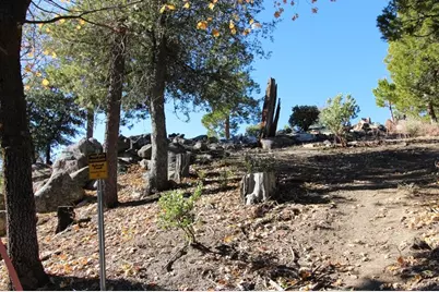 0 Gibbs-Gully, Idyllwild, CA 92549 - Photo 15