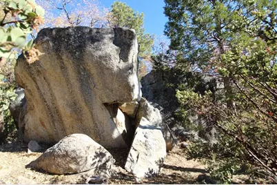 0 Gibbs-Gully, Idyllwild, CA 92549 - Photo 13