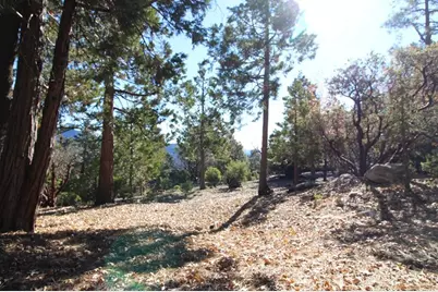 0 Gibbs-Gully, Idyllwild, CA 92549 - Photo 21