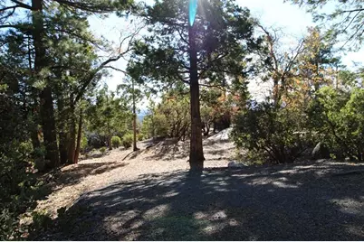 0 Gibbs-Gully, Idyllwild, CA 92549 - Photo 17