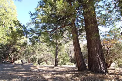 0 Gibbs-Gully, Idyllwild, CA 92549 - Photo 3