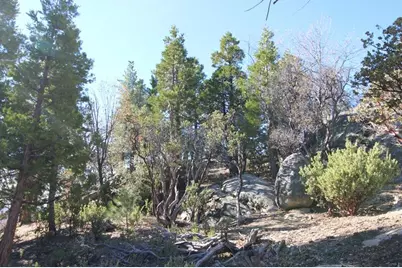 0 Gibbs-Gully, Idyllwild, CA 92549 - Photo 5