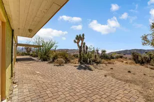 48819 Bird of Paradise, Morongo Valley, CA 92256 - Photo 53