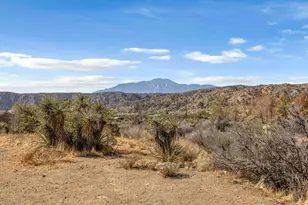 48819 Bird of Paradise, Morongo Valley, CA 92256 - Photo 61