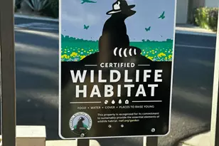 169 Lakeshore Dr, Rancho Mirage, CA 92270 - Photo 45