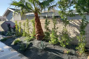 65565 Acoma Ave, Desert Hot Springs, CA 92240 - Photo 51